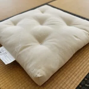 Zabuton Floor Cushion