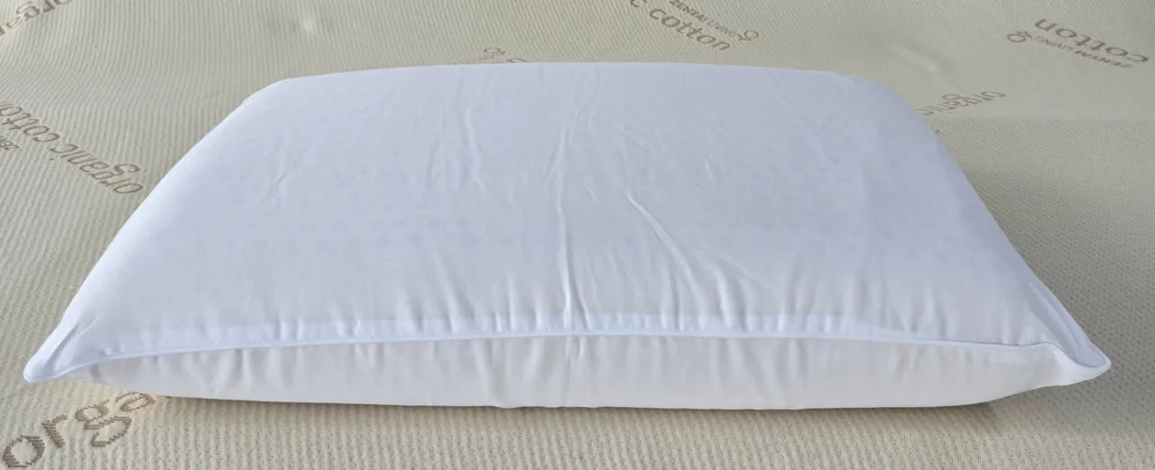 Natural Gols certified organic  Latex Pillow   - Eliptical - Natural Gols certified organic Latex Pillow Eliptical
