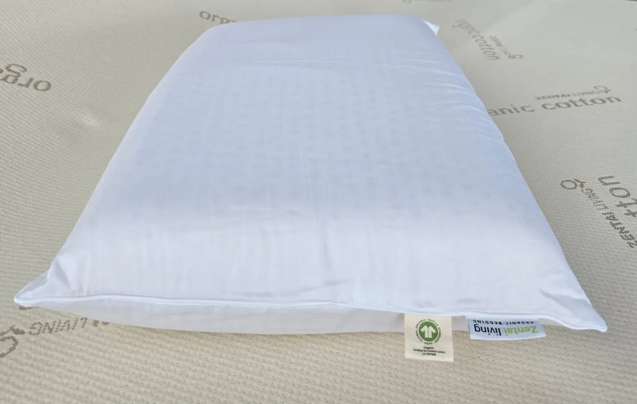Natural Gols certified organic  Latex Pillow   - Eliptical - Natural Gols certified organic Latex Pillow Eliptical2