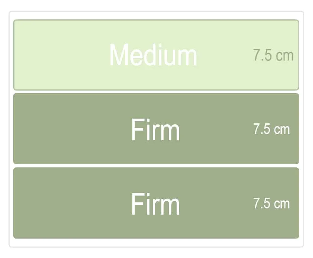 Single Product - V2 - Comfort Level Zentai Living Medium Firm