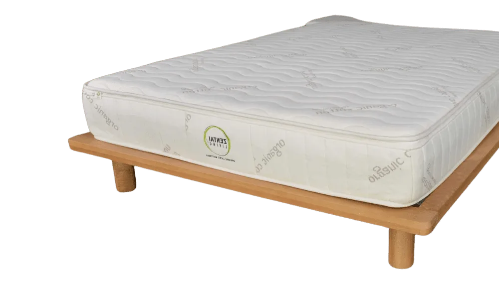 Existing Bed Base