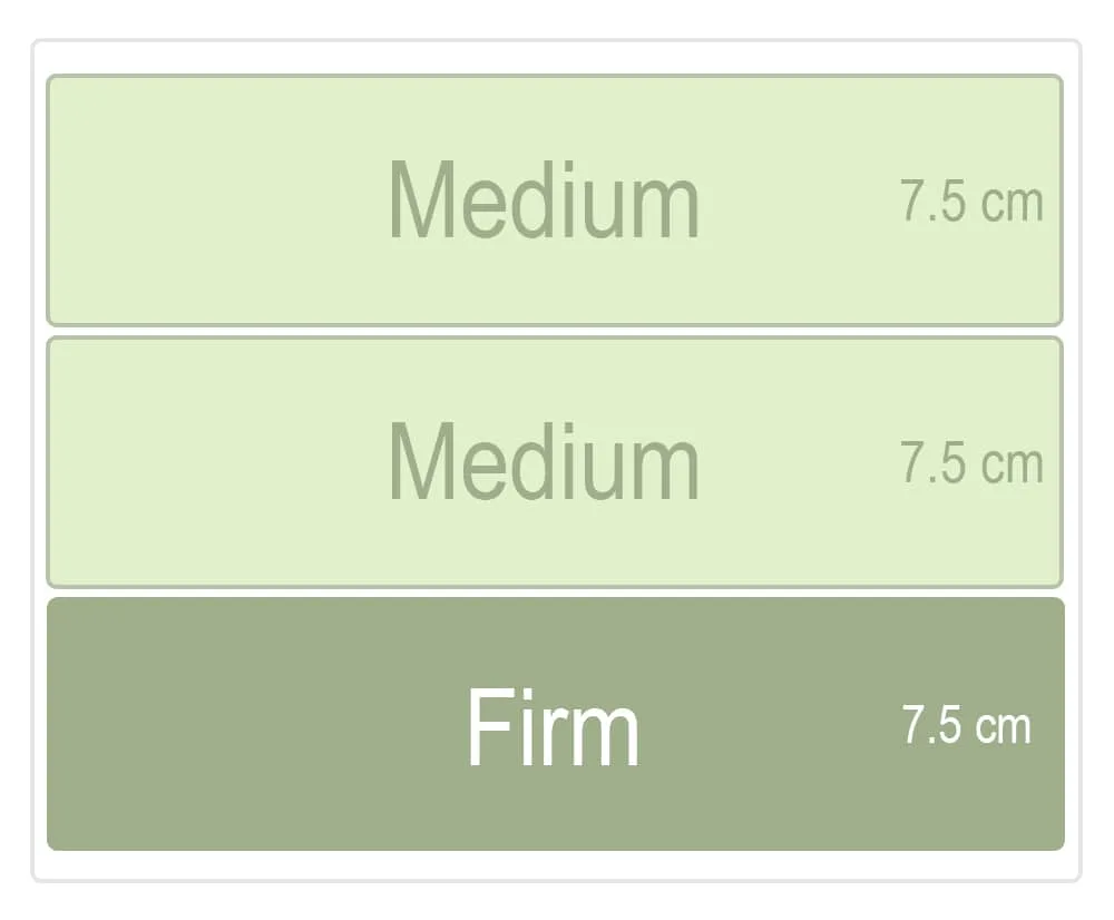 Single Product - Organic Mattress | High Profile - Comfort Level Zentai Living Medium 1